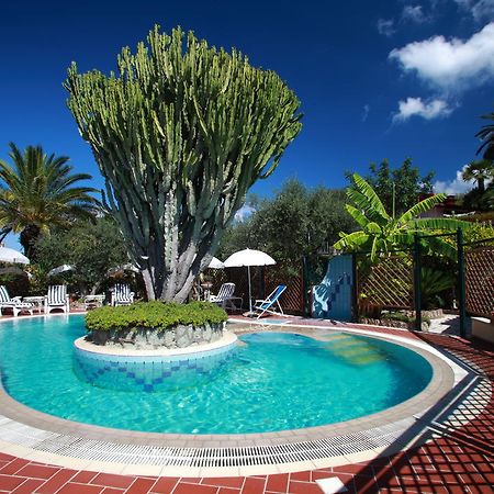 Residence Giardino Del Sole Forio di Ischia Kültér fotó