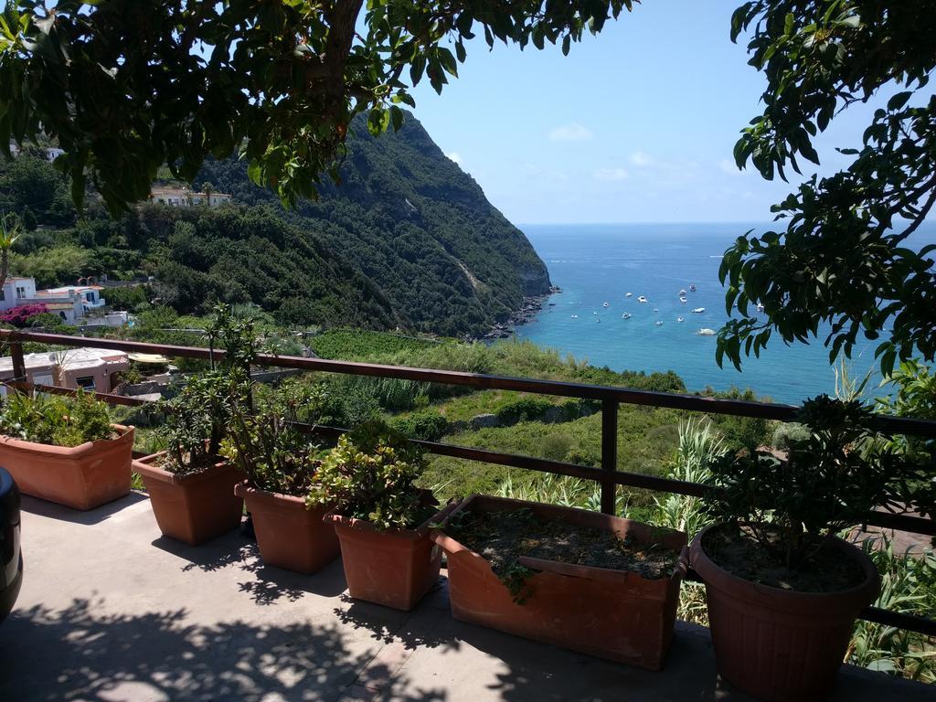 Residence Giardino Del Sole Forio di Ischia Kültér fotó