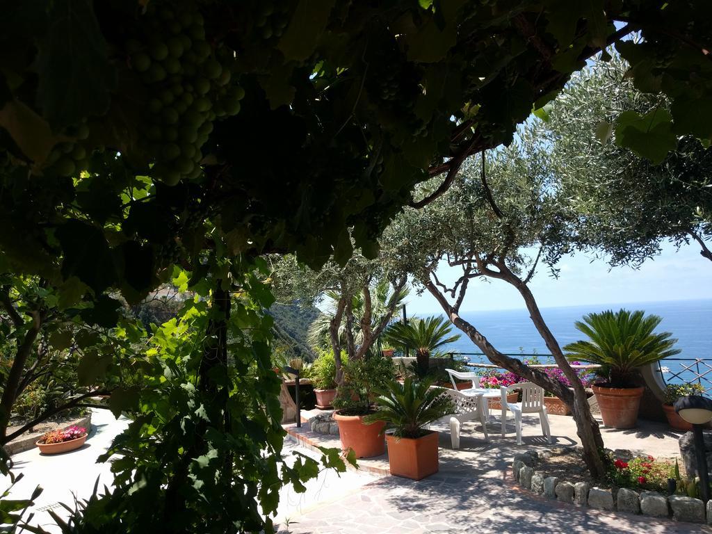 Residence Giardino Del Sole Forio di Ischia Kültér fotó