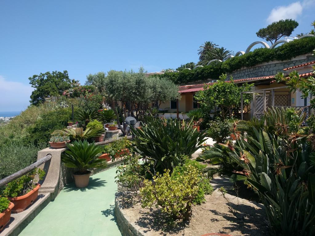 Residence Giardino Del Sole Forio di Ischia Kültér fotó