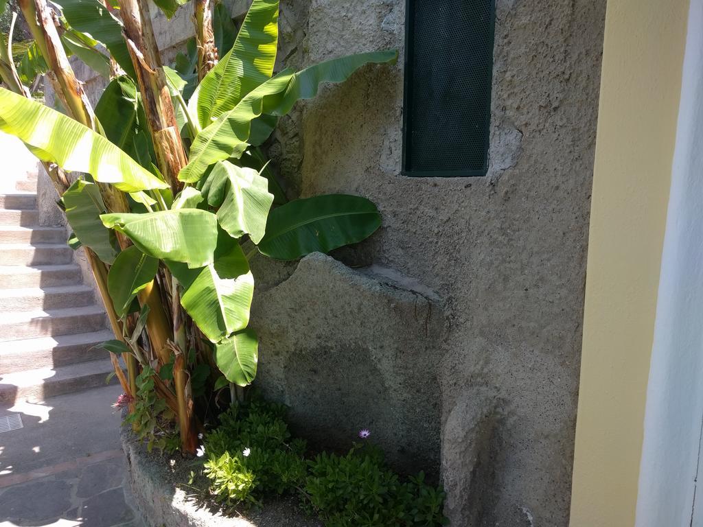 Residence Giardino Del Sole Forio di Ischia Kültér fotó