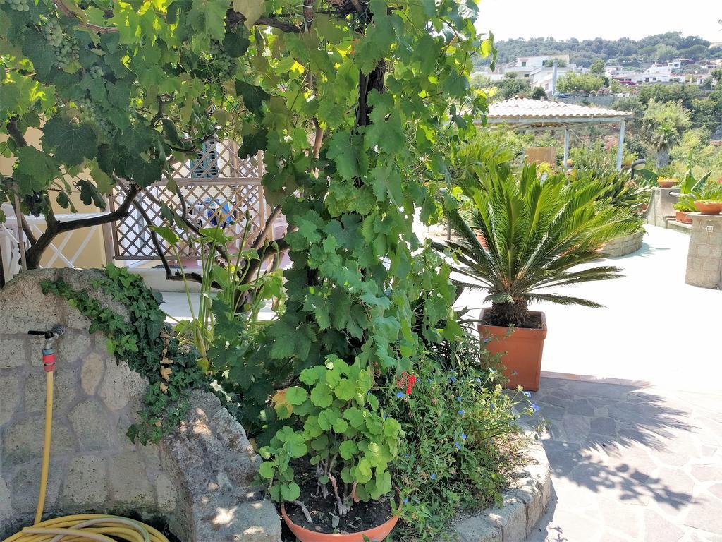 Residence Giardino Del Sole Forio di Ischia Kültér fotó